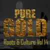 Various Artists - Pure Gold Roots & Culture, Vol. 14