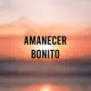 Various Artists - Amanecer Bonito