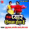 Various Artists - Pyaar Deewana Hota Hai