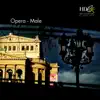 Various Artists - Opera - Male