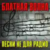 Various Artists - Блатная волна (Песни не для радио)