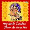 Various Artists - Hey Ambe Tumhari Shran Aa Gaye Hai